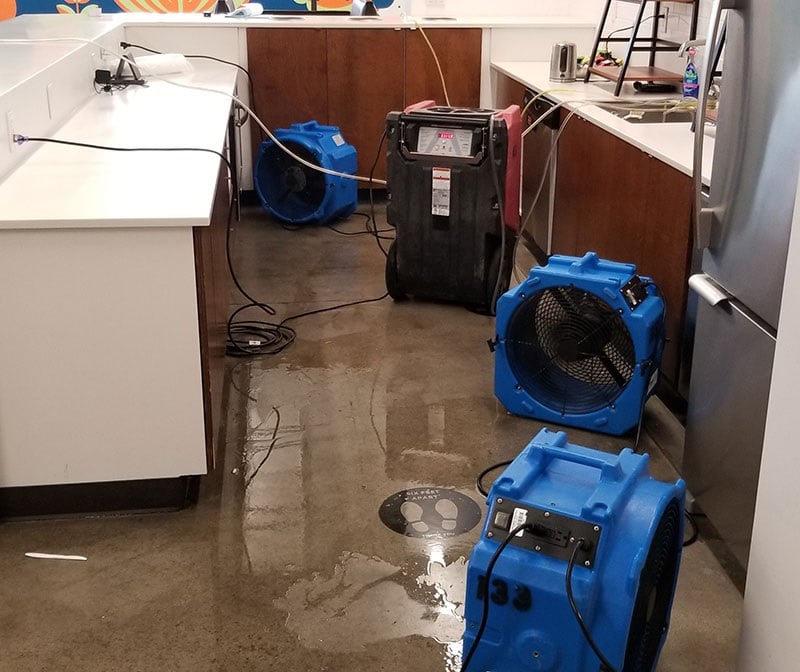 water damage cleanup [location]